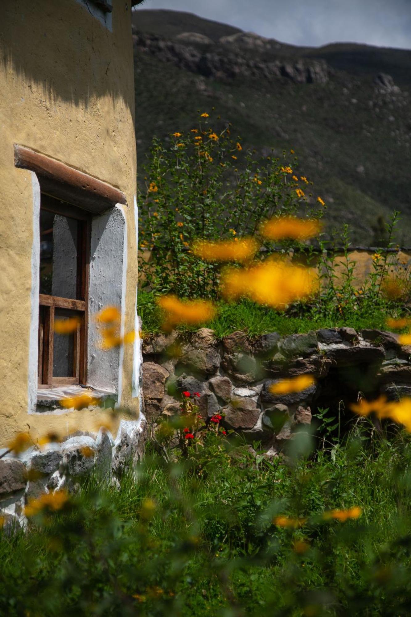Ayni Wasi Guest House Coporaque Exterior photo